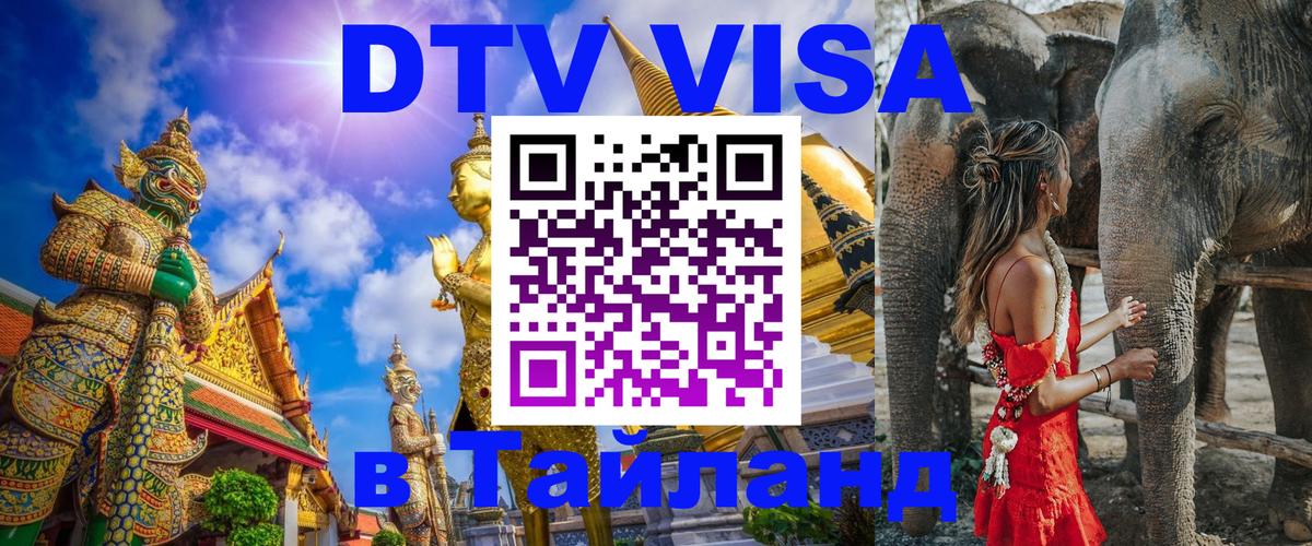 Сколько стоит DTV виза — актуальные цены, оформление даже без документов - Энгельс  20.11.2025 